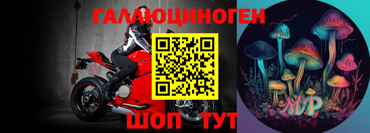 Кстово  Галлюциногенные грибы мухоморы  Вход с VPN  Галлюциногенные грибы Psilocybine cubensis 